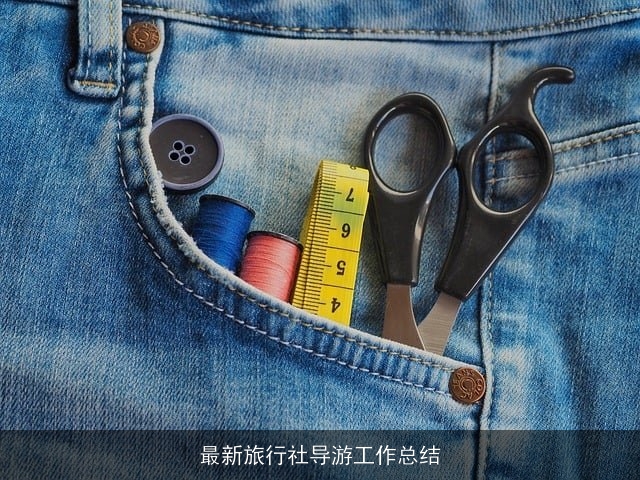 最新旅行社导游工作总结