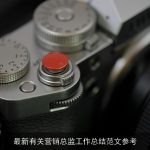 最新有关营销总监工作总结范文参考