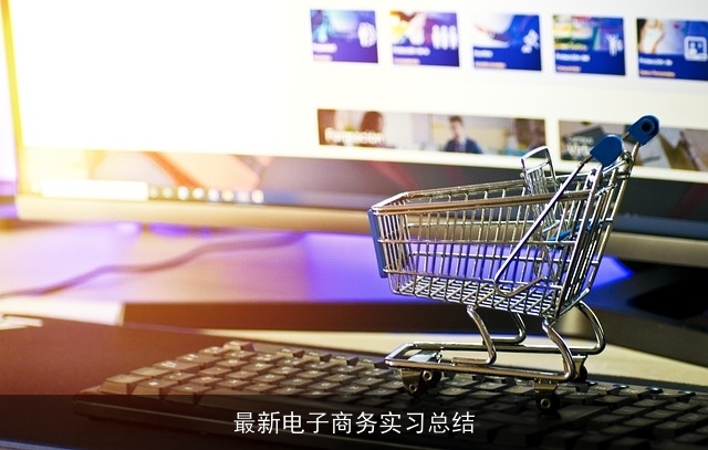 最新电子商务实习总结