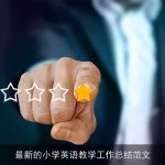 最新的小学英语教学工作总结范文