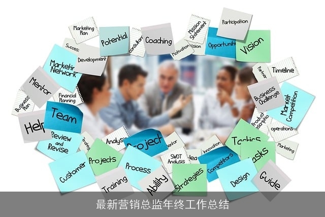 最新营销总监年终工作总结