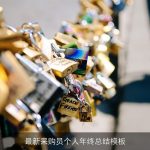 最新采购员个人年终总结模板