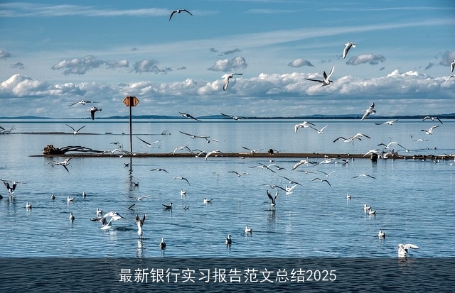 最新银行实习报告范文总结2025