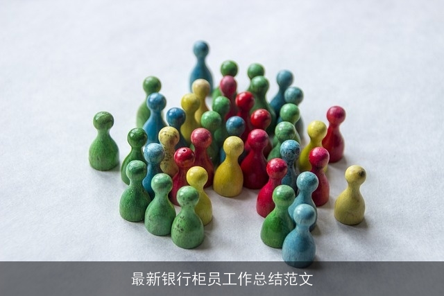 最新银行柜员工作总结范文