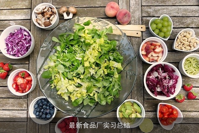 最新食品厂实习总结