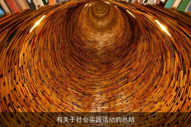 有关于社会实践活动的总结