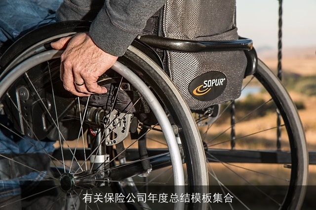 有关保险公司年度总结模板集合
