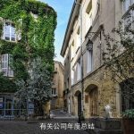 有关公司年度总结