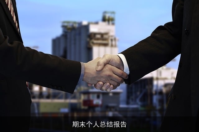 期末个人总结报告