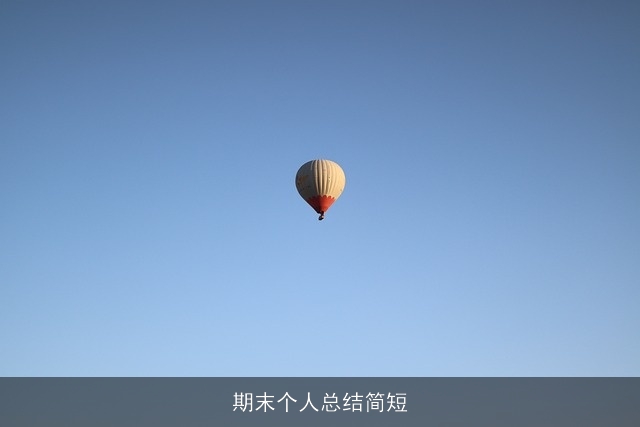 期末个人总结简短