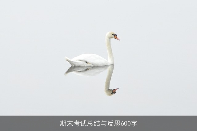 期末考试总结与反思600字