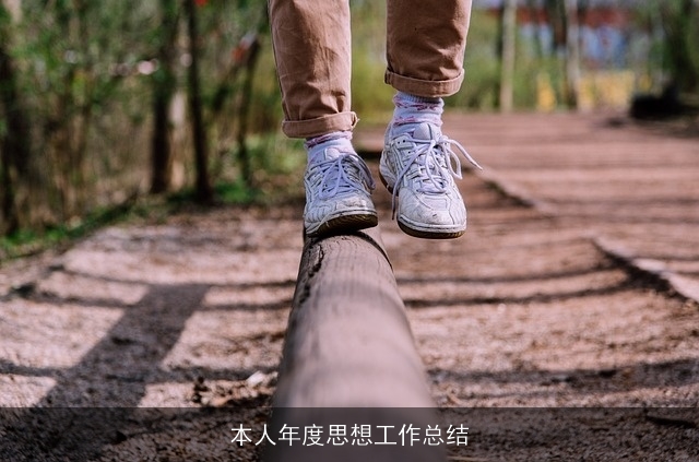 本人年度思想工作总结