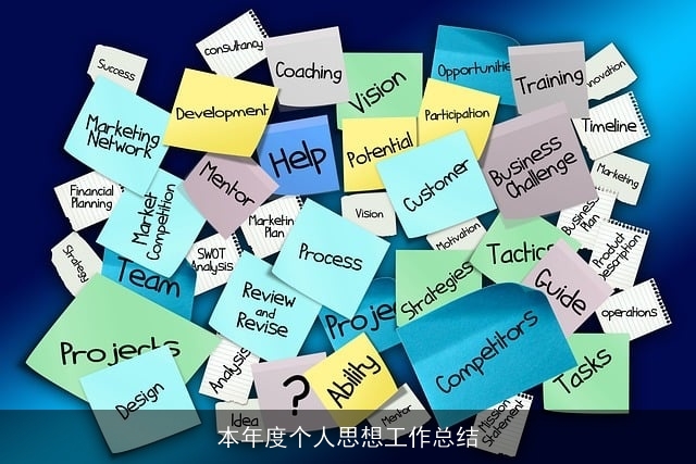 本年度个人思想工作总结