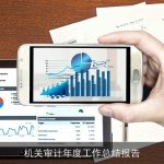 机关审计年度工作总结报告