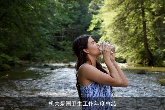 机关爱国卫生工作年度总结