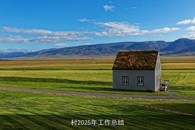 村2025年工作总结