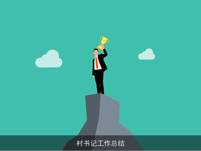 村书记工作总结