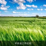 村农业工作总结