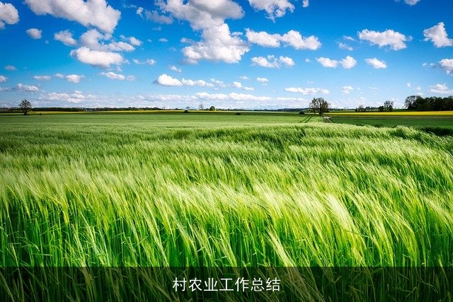 村农业工作总结