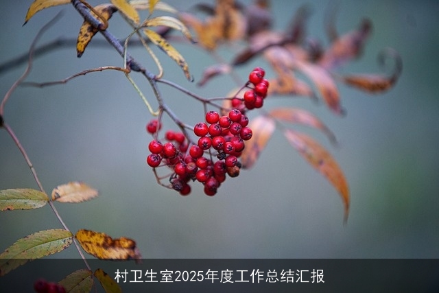 村卫生室2025年度工作总结汇报