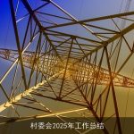 村委会2025年工作总结