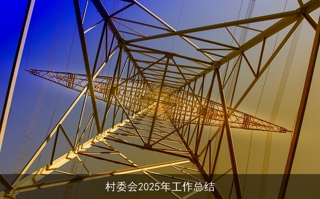 村委会2025年工作总结
