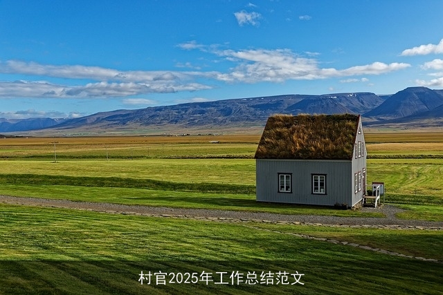 村官2025年工作总结范文