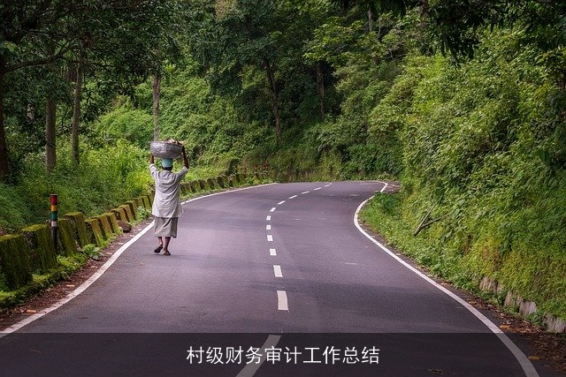 村级财务审计工作总结