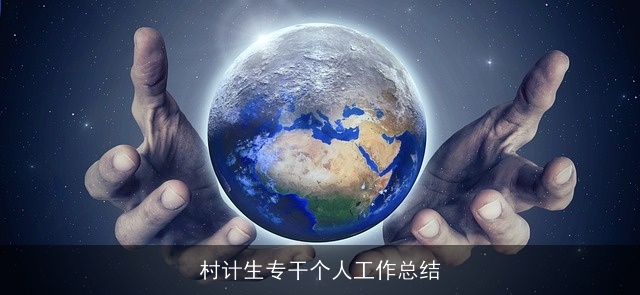 村计生专干个人工作总结