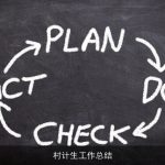 村计生工作总结