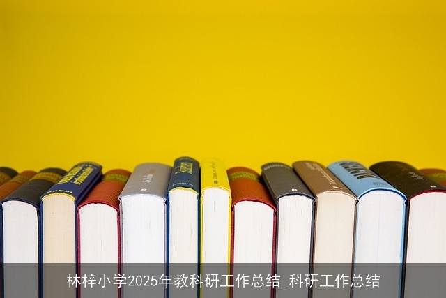 林梓小学2025年教科研工作总结_科研工作总结