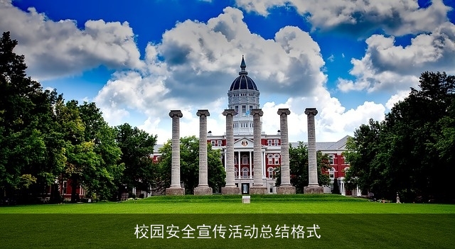 校园安全宣传活动总结格式