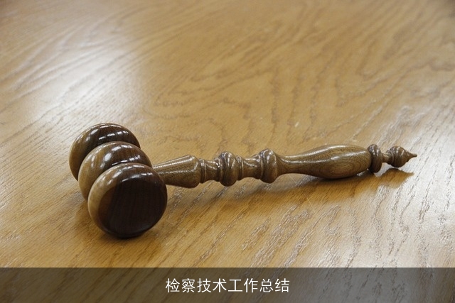 检察技术工作总结