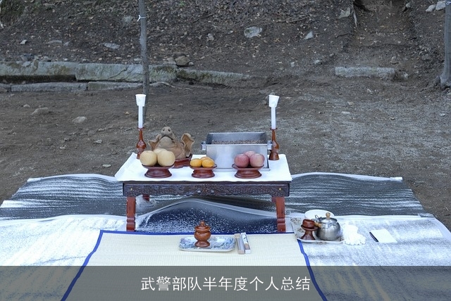 武警部队半年度个人总结