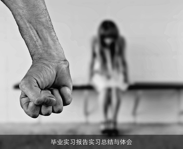 毕业实习报告实习总结与体会