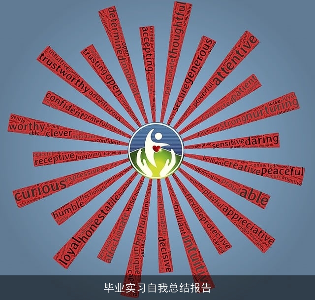毕业实习自我总结报告