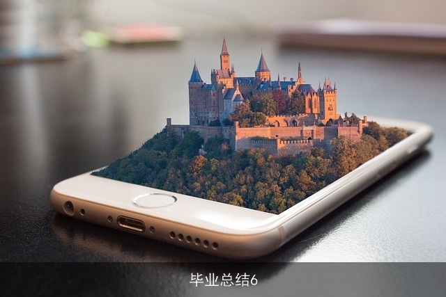 毕业总结6