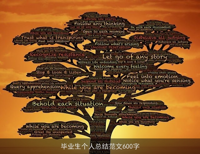 毕业生个人总结范文600字
