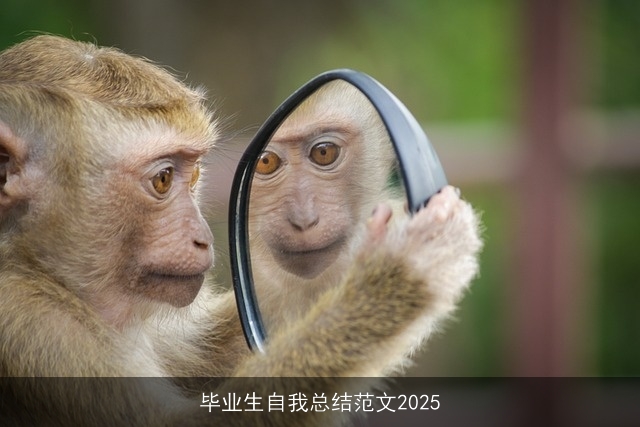 毕业生自我总结范文2025