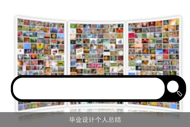 毕业设计个人总结