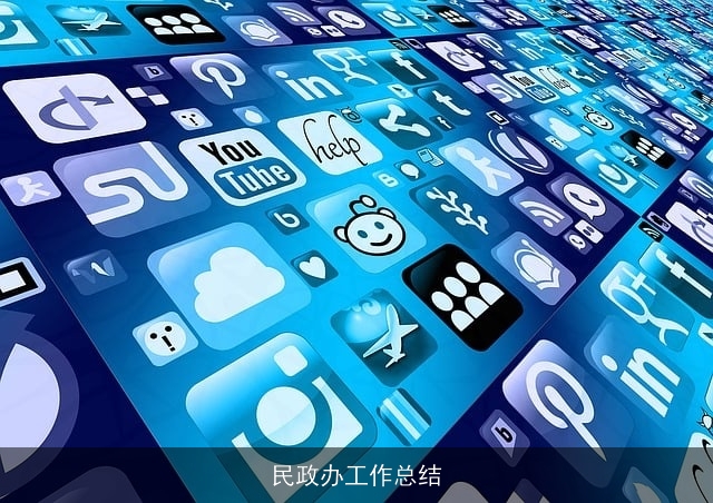 民政办工作总结