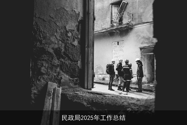 民政局2025年工作总结