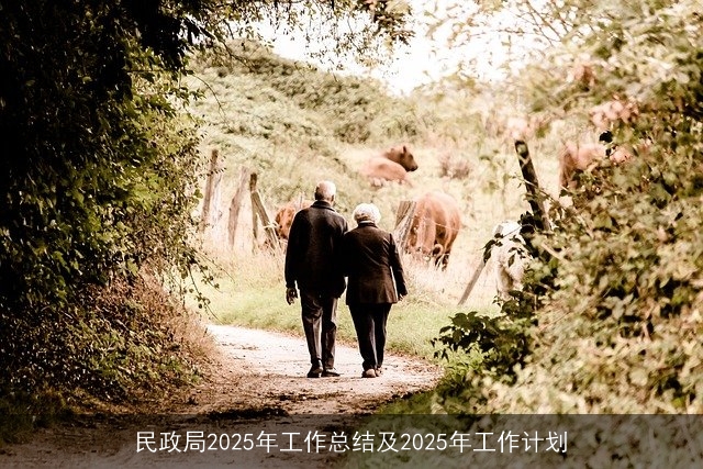民政局2025年工作总结及2025年工作计划