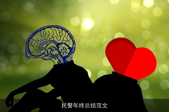 民警年终总结范文