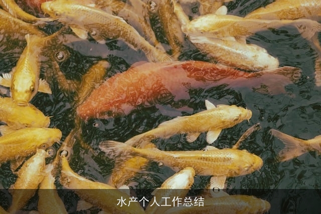 水产个人工作总结