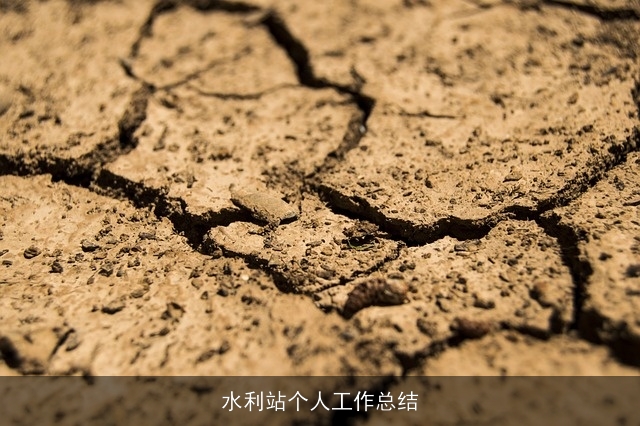 水利站个人工作总结
