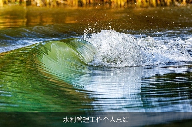 水利管理工作个人总结