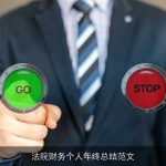 法院财务个人年终总结范文