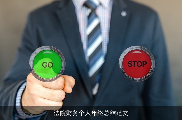 法院财务个人年终总结范文