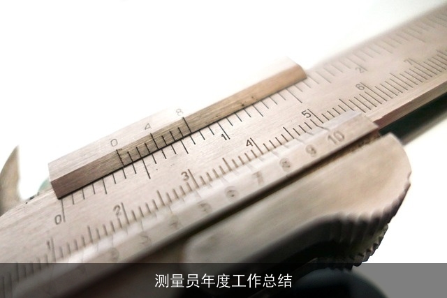 测量员年度工作总结